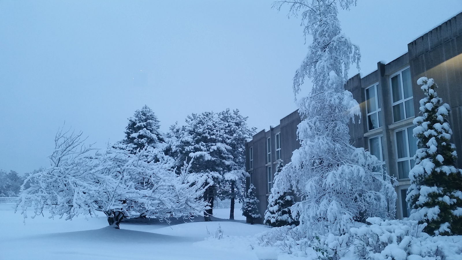 Snowy_Welcome_Lille Snowy_Welcome_Lille