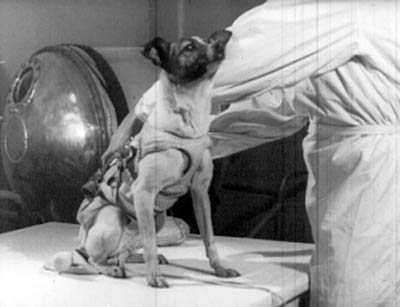 how long did laika live in space